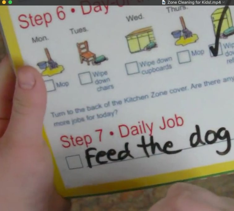 Kid's Chore Chart & Laundry BUNDLE Flip Charts
