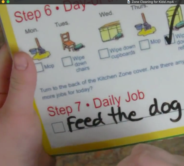 Kid's Chore Chart & Laundry Book BUNDLE Flip Charts